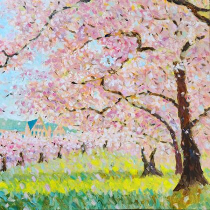 Cherry Blossom In UW, Seattle ( Oil on Canvas 14x14" )